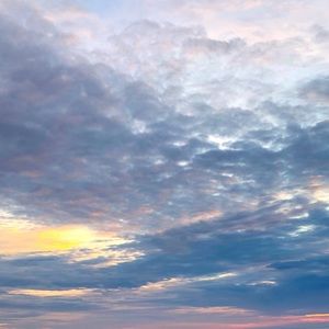 Meet your Posher, Bella